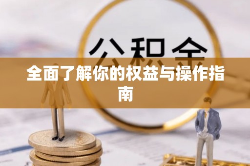石家庄全面了解你的权益与操作指南