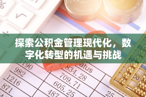 石家庄探索公积金管理现代化，数字化转型的机遇与挑战