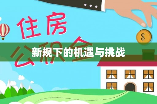 石家庄新规下的机遇与挑战
