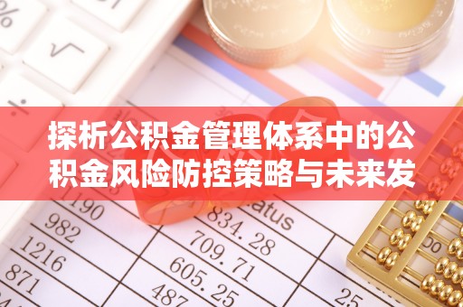 石家庄探析公积金管理体系中的公积金风险防控策略与未来发展