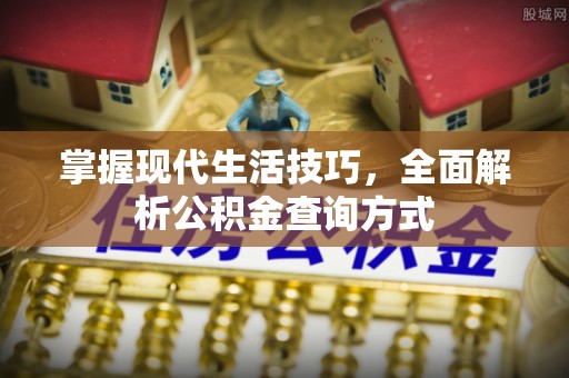 石家庄掌握现代生活技巧，全面解析公积金查询方式