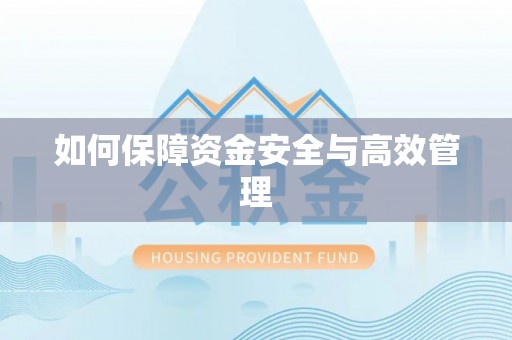 石家庄如何保障资金安全与高效管理