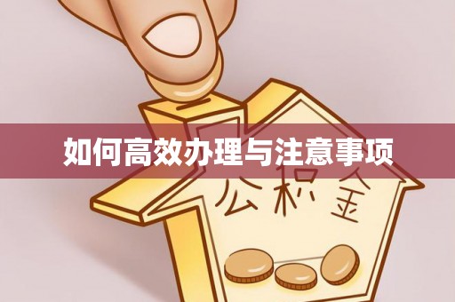 石家庄如何高效办理与注意事项