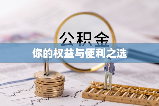 石家庄你的权益与便利之选