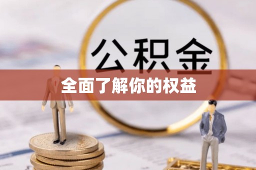 石家庄全面了解你的权益
