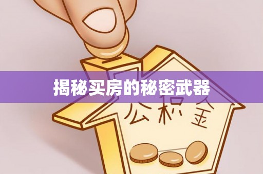 石家庄揭秘买房的秘密武器