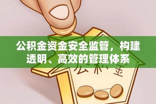 石家庄公积金资金安全监管，构建透明、高效的管理体系