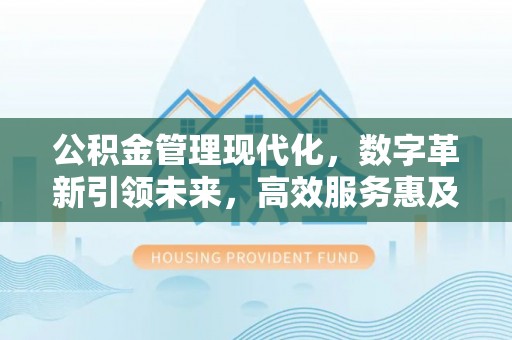 石家庄公积金管理现代化，数字革新引领未来，高效服务惠及民生