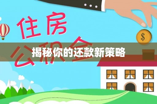石家庄揭秘你的还款新策略