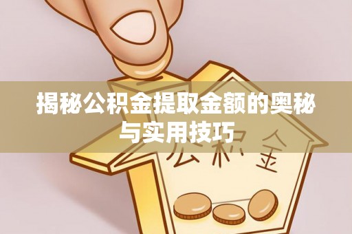 石家庄揭秘公积金提取金额的奥秘与实用技巧