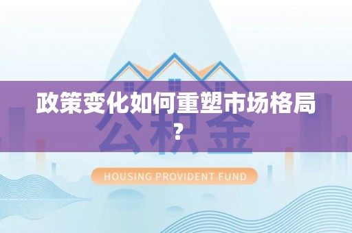 石家庄政策变化如何重塑市场格局？