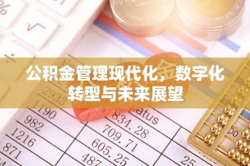 石家庄公积金管理现代化，数字化转型与未来展望