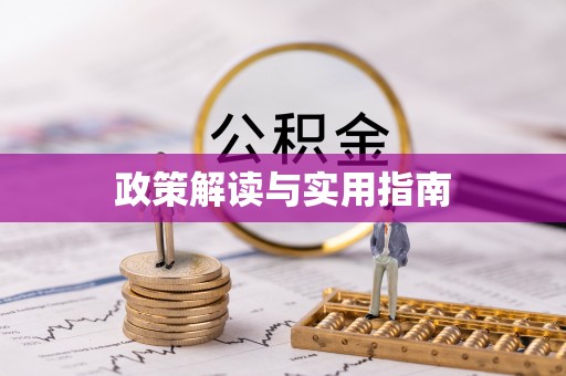 石家庄政策解读与实用指南