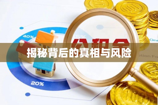 石家庄揭秘背后的真相与风险