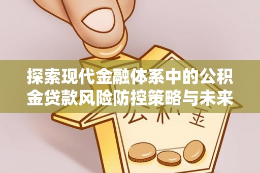 石家庄探索现代金融体系中的公积金贷款风险防控策略与未来发展趋势