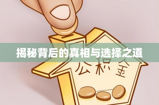石家庄揭秘背后的真相与选择之道