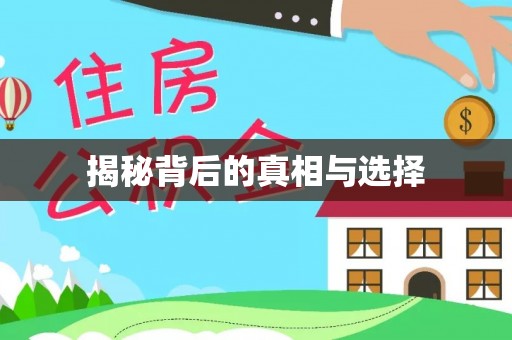 石家庄揭秘背后的真相与选择