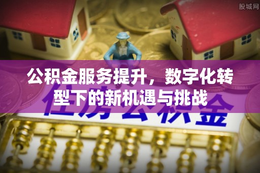 石家庄公积金服务提升，数字化转型下的新机遇与挑战