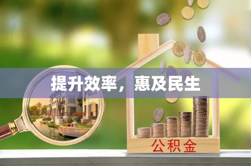 石家庄提升效率，惠及民生