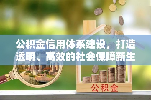 石家庄公积金信用体系建设，打造透明、高效的社会保障新生态