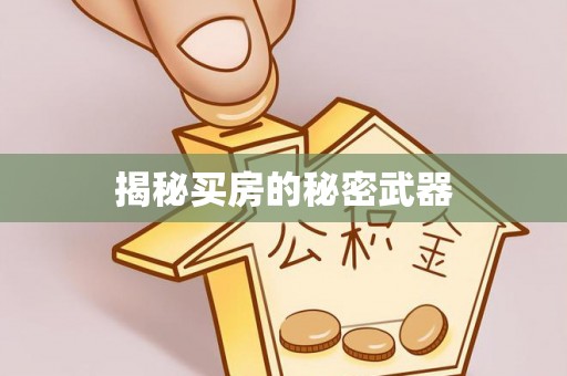 石家庄揭秘买房的秘密武器