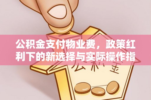 石家庄公积金支付物业费，政策红利下的新选择与实际操作指南