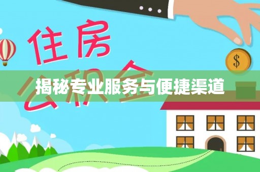 石家庄揭秘专业服务与便捷渠道