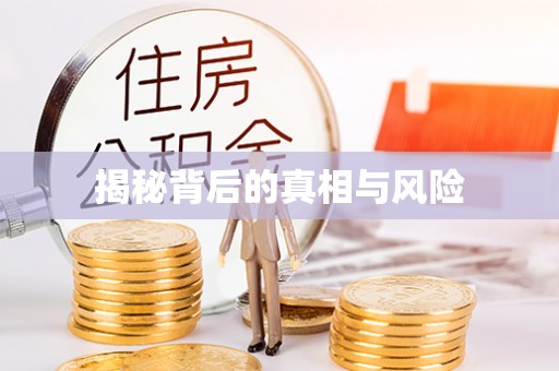 石家庄揭秘背后的真相与风险
