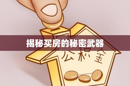 石家庄揭秘买房的秘密武器