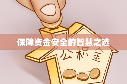 石家庄保障资金安全的智慧之选
