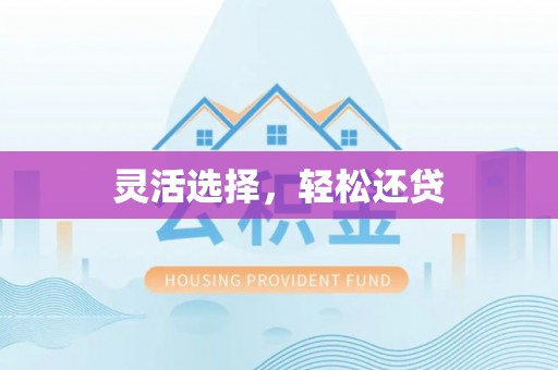 石家庄灵活选择，轻松还贷