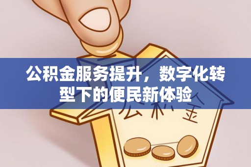 石家庄公积金服务提升，数字化转型下的便民新体验