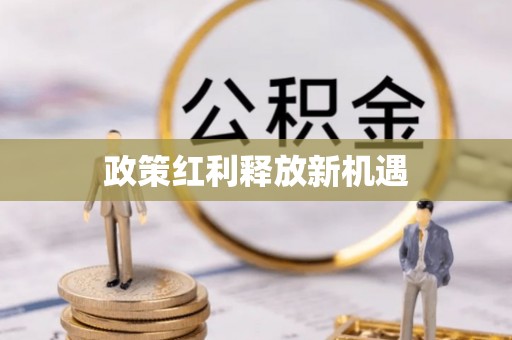 石家庄政策红利释放新机遇