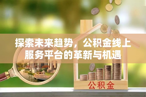石家庄探索未来趋势，公积金线上服务平台的革新与机遇
