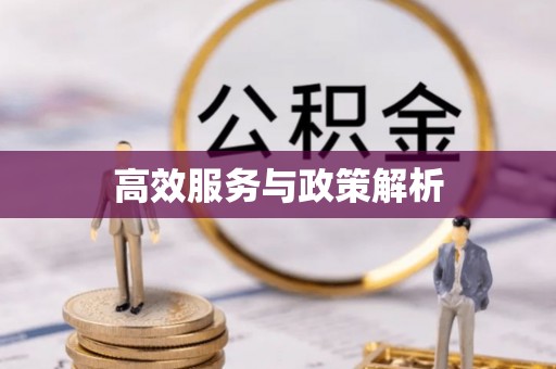 石家庄高效服务与政策解析