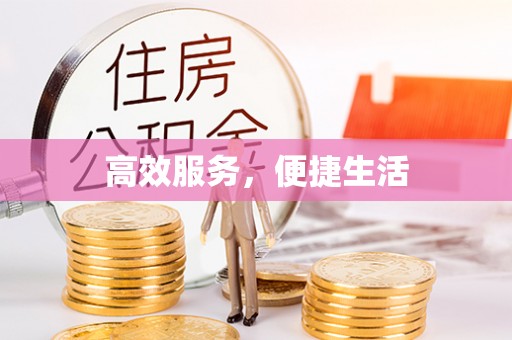 石家庄高效服务，便捷生活