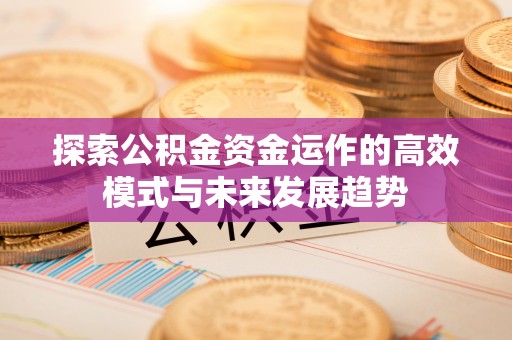 石家庄探索公积金资金运作的高效模式与未来发展趋势