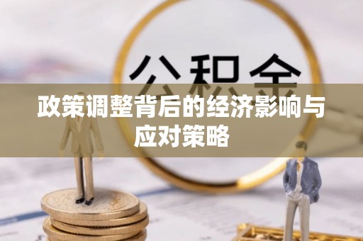 石家庄政策调整背后的经济影响与应对策略