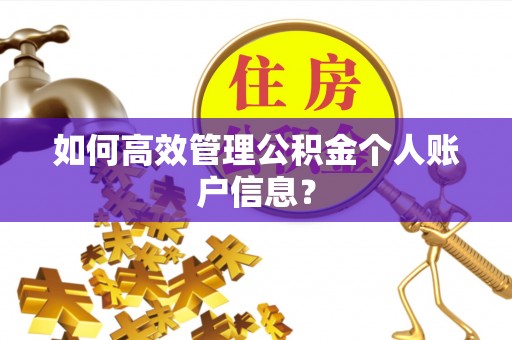石家庄如何高效管理公积金个人账户信息？