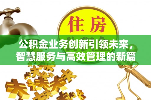石家庄公积金业务创新引领未来，智慧服务与高效管理的新篇章