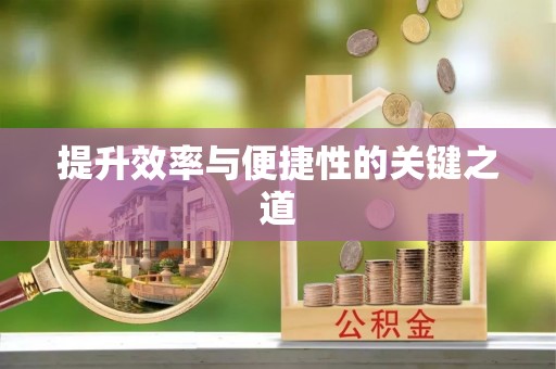 石家庄提升效率与便捷性的关键之道