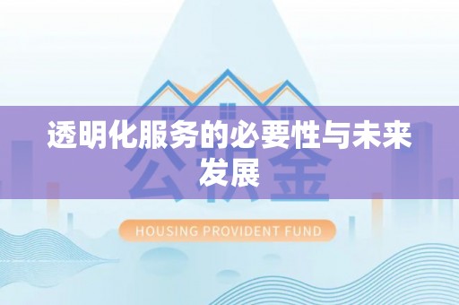 石家庄透明化服务的必要性与未来发展