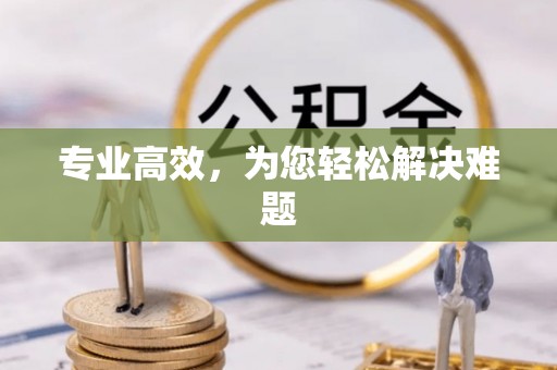 石家庄专业高效，为您轻松解决难题