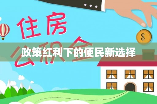 石家庄政策红利下的便民新选择