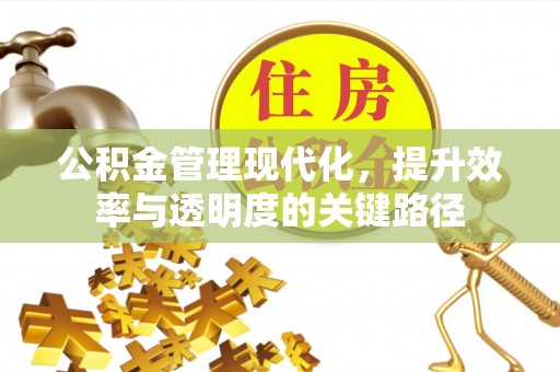 石家庄公积金管理现代化，提升效率与透明度的关键路径