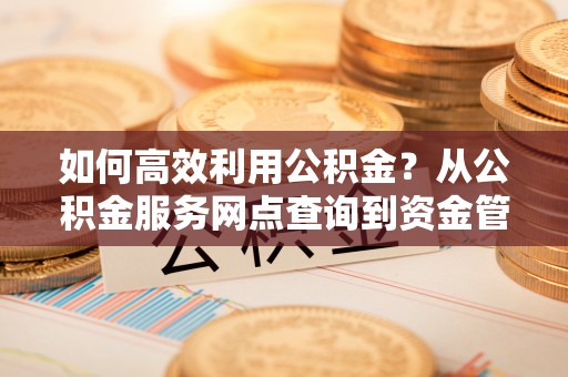 石家庄如何高效利用公积金？从公积金服务网点查询到资金管理全攻略