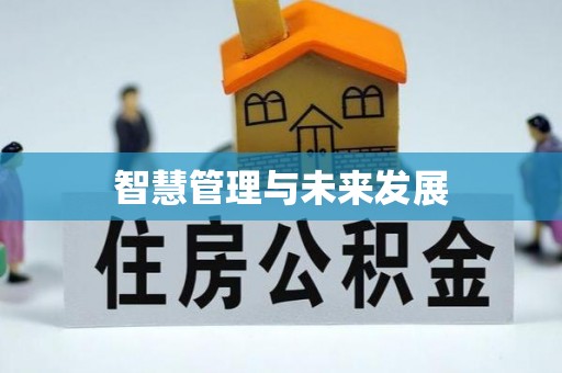 石家庄智慧管理与未来发展