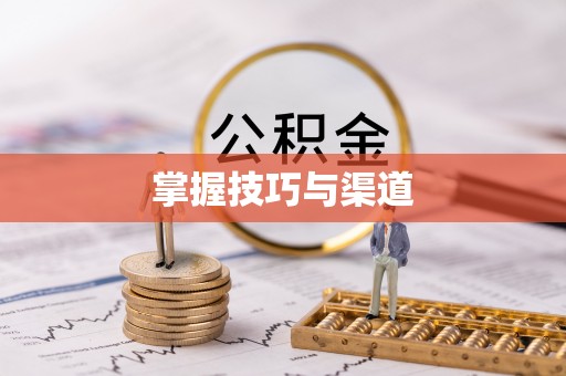石家庄掌握技巧与渠道