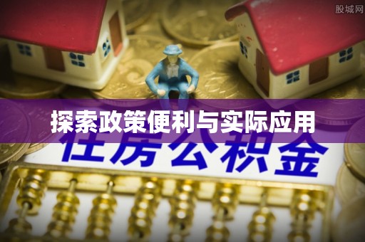 石家庄探索政策便利与实际应用