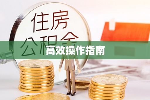 石家庄高效操作指南